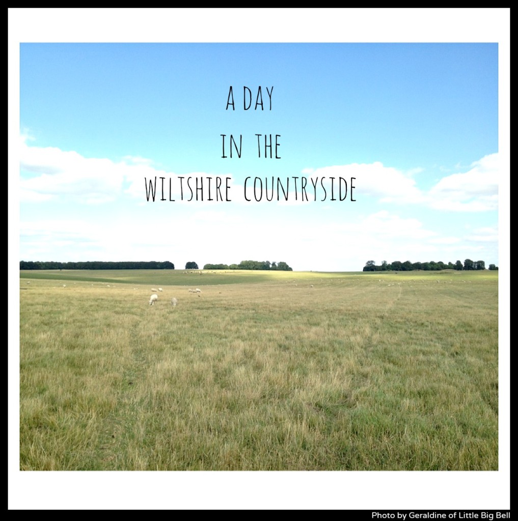 A-day-in-the-Wiltshire-countryside-Little-Big-Bell-blog-UK