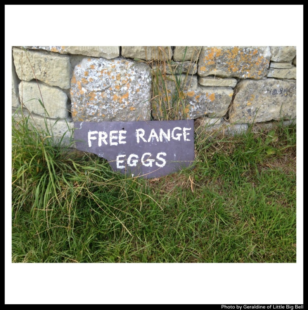Free-Range-Eggs-sale-sign-photo-by-Little-Big-Bell