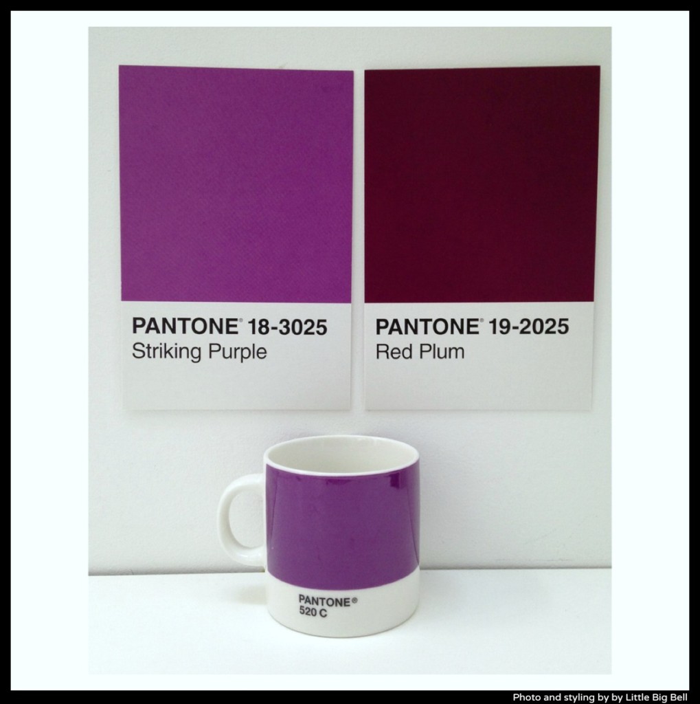 Pantone-purple-photo-by-Little-Big-Bell