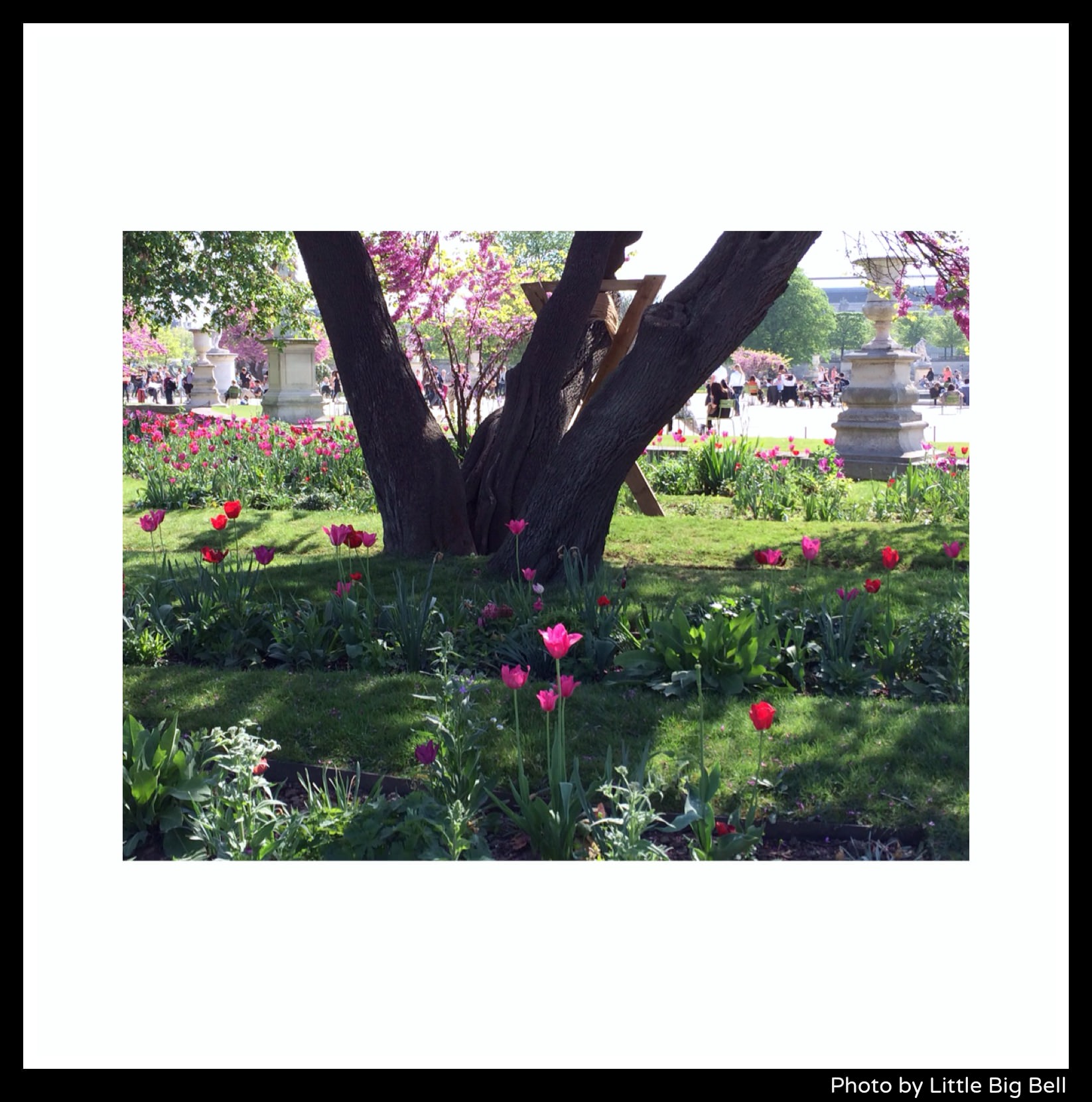 Tuileries-garden-Paris-photo-by-Little-Big-Bell.jpg