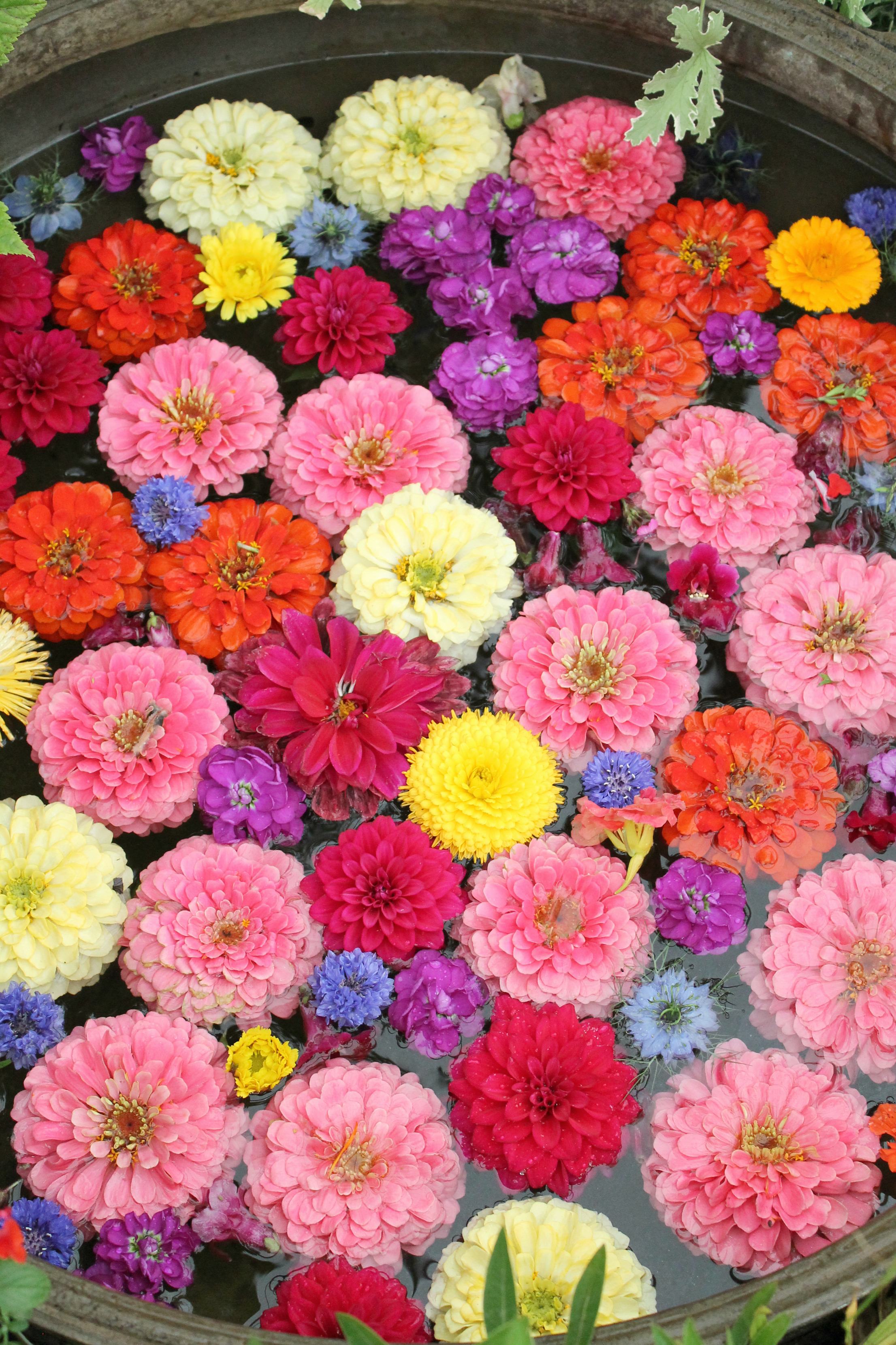 Petersham-nurseries-floral-display-by-Thomas-Broom-photo-by-Little-Big-Bell