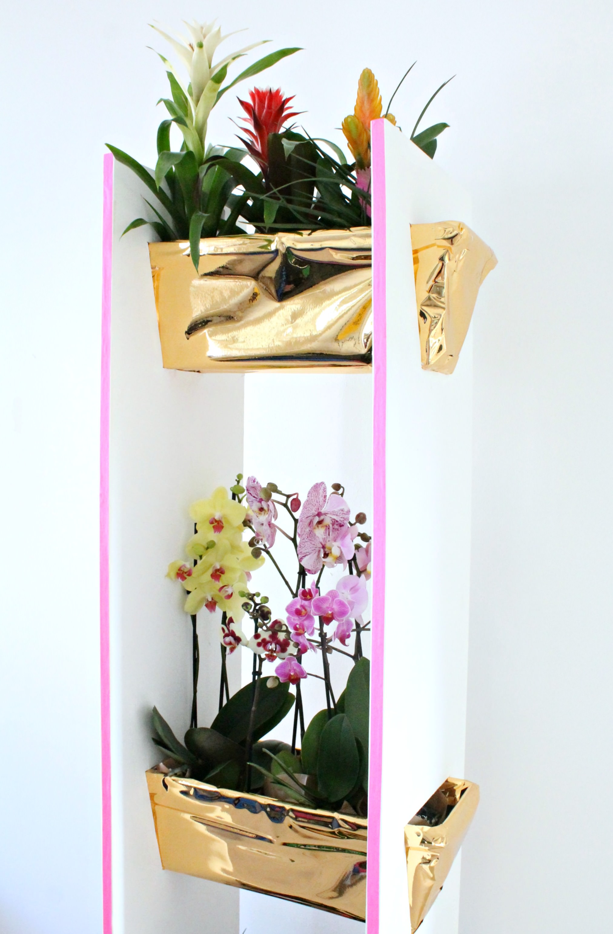 Guzmania-and-orchids-plant-shelf-styled-and-photo-by-Geraldine-Tan-Little-Big-Bell