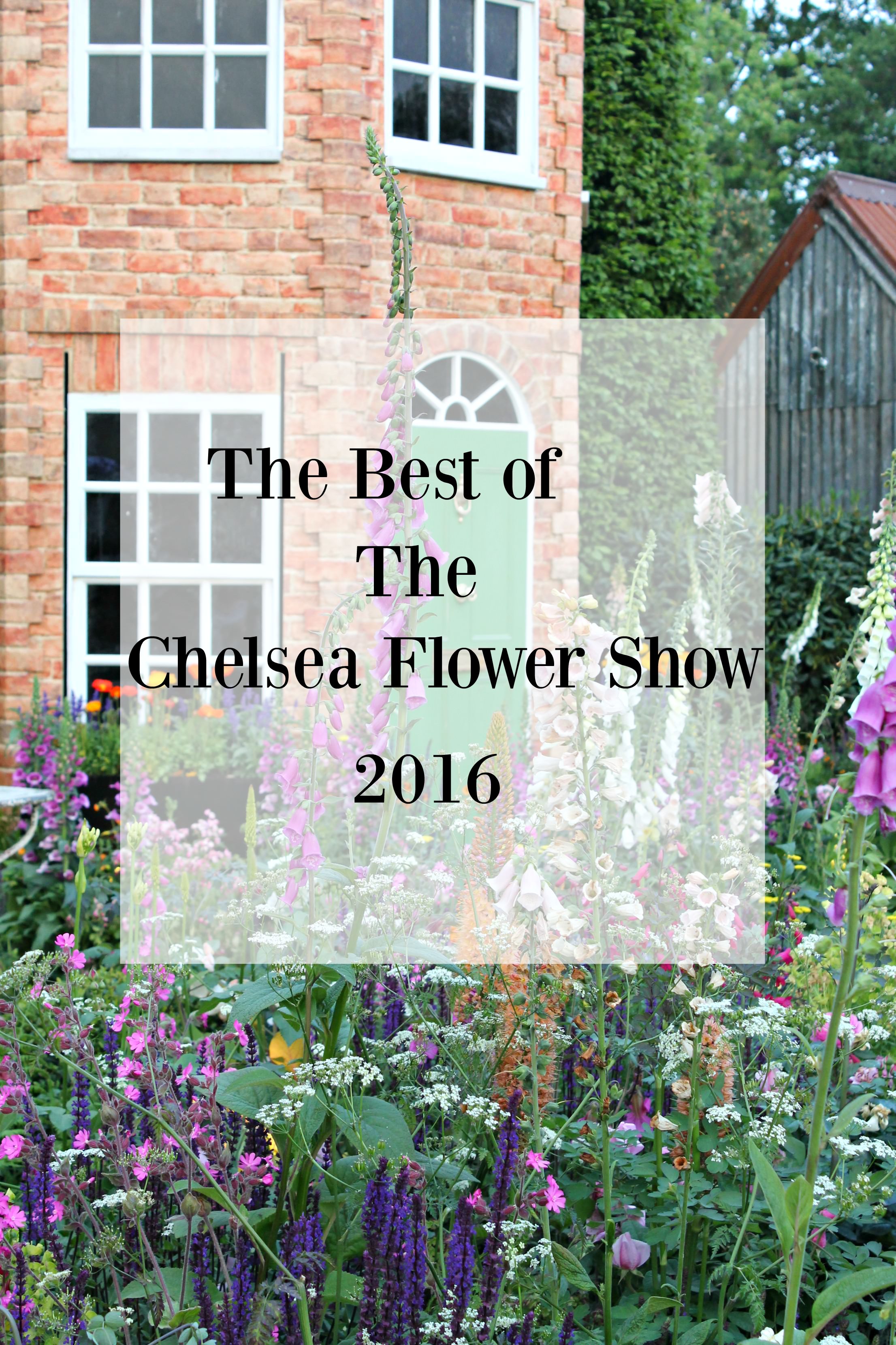 Colourful-garden-1-Chelsea-flower-show-photo-by-Geraldine-Tan-Little-Big-Bell
