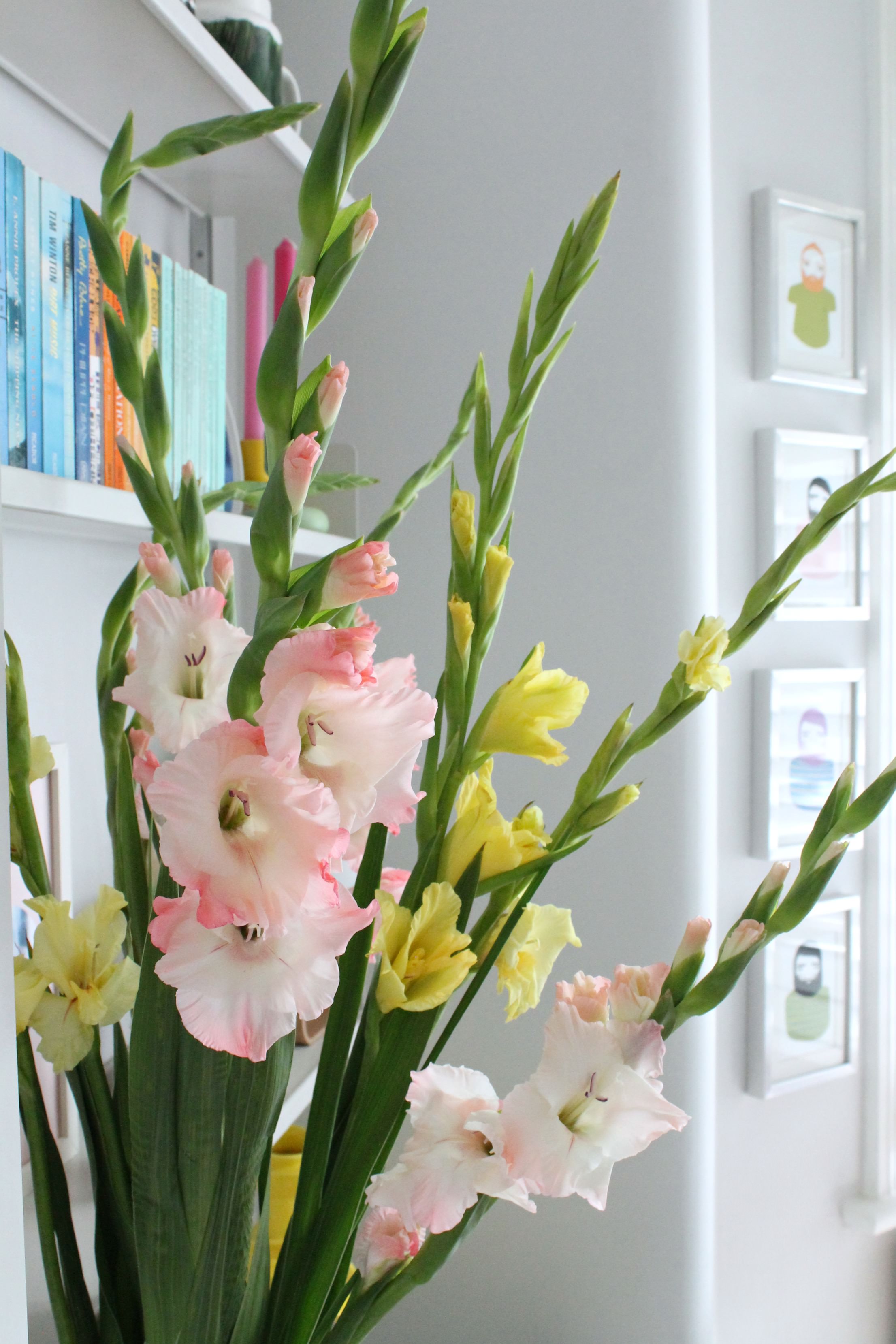 Gladiolus-flowers-photo-by-Geraldine-Tan-Little-Big-Bell