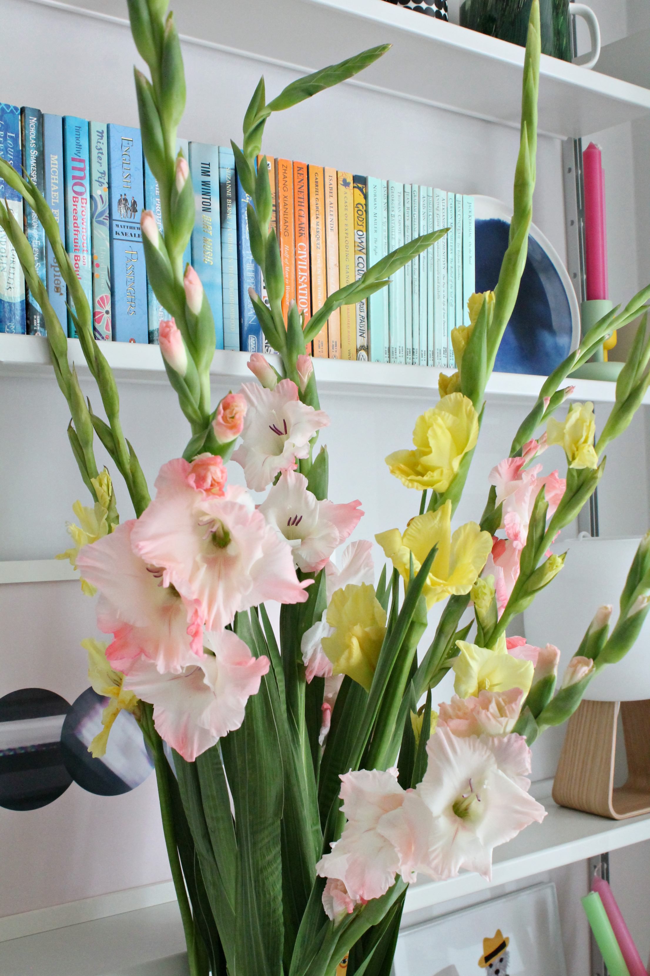 gladiolus-photo-Little-Big-Bell-blog
